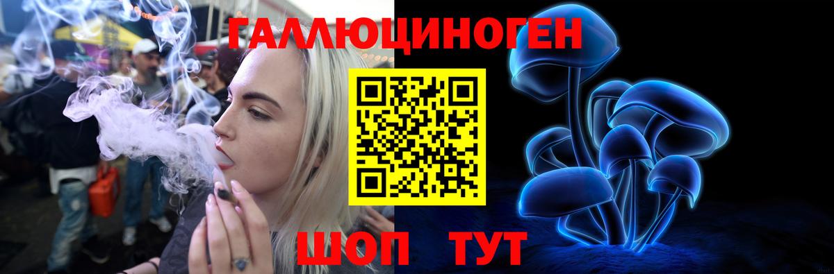 Галлюциногенные грибы Psilocybine cubensis  Вход с VPN  Урус-Мартан  Псилоцибиновые грибы Psilocybe 